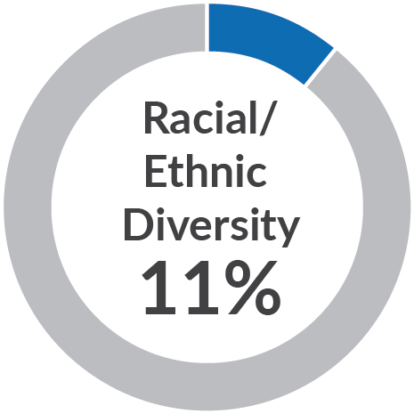 piechart_Racial (003).jpg